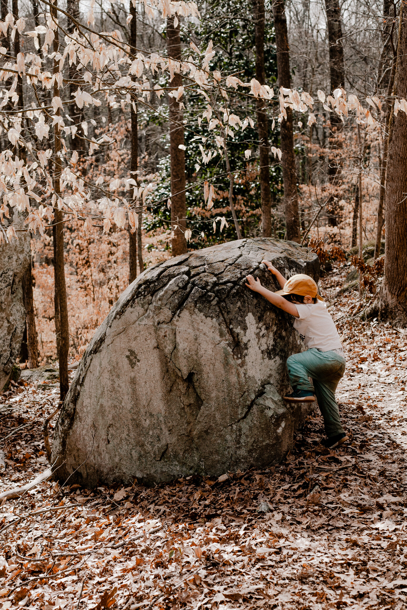 Little boy climbing a rock during a family photo session in Atlanta, GA.